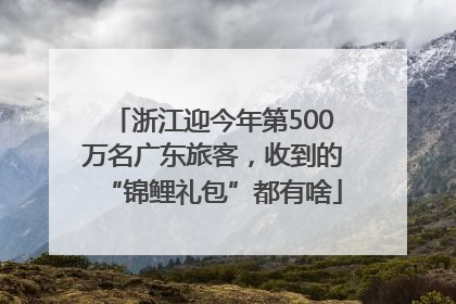 浙江迎今年第500万名广东旅客，收到的“锦鲤礼包”都有啥