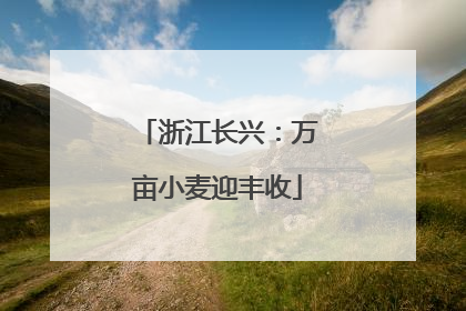 浙江长兴：万亩小麦迎丰收