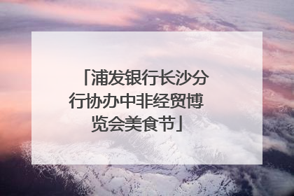 浦发银行长沙分行协办中非经贸博览会美食节