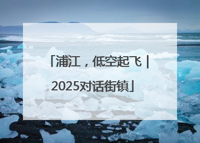 浦江，低空起飞｜2025对话街镇
