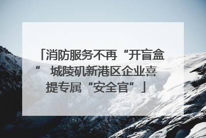 消防服务不再“开盲盒” 城陵矶新港区企业喜提专属“安全官”