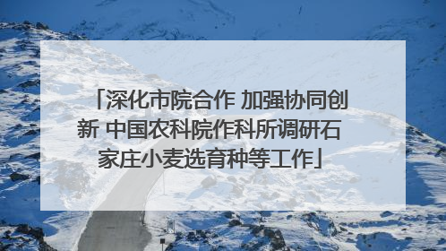 深化市院合作 加强协同创新 中国农科院作科所调研石家庄小麦选育种等工作