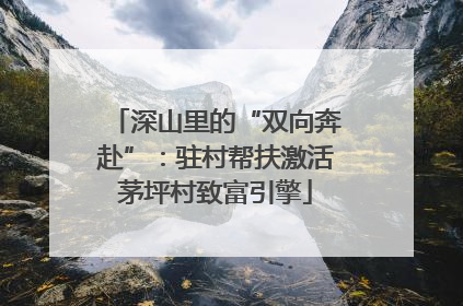 深山里的“双向奔赴”：驻村帮扶激活茅坪村致富引擎