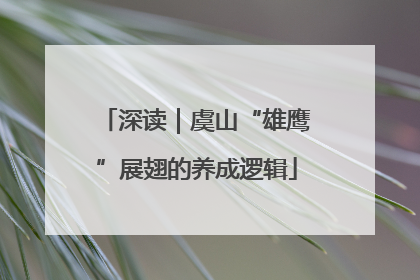 深读｜虞山“雄鹰”展翅的养成逻辑