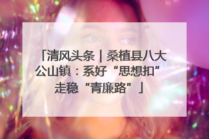 清风头条｜桑植县八大公山镇：系好“思想扣” 走稳“青廉路”
