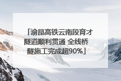渝昆高铁云南段育才隧道顺利贯通 全线桥隧施工完成超90%