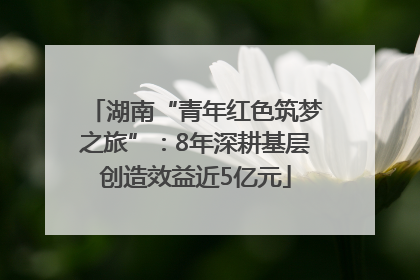湖南“青年红色筑梦之旅”：8年深耕基层创造效益近5亿元