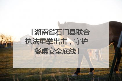 湖南省石门县联合执法重拳出击，守护餐桌安全底线