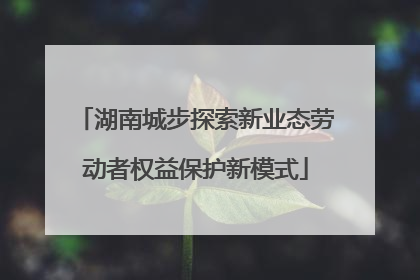 湖南城步探索新业态劳动者权益保护新模式