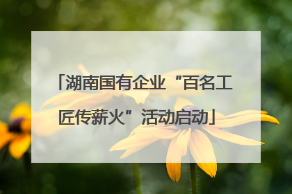 湖南国有企业“百名工匠传薪火”活动启动