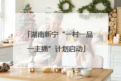 湖南新宁“一村一品一主播”计划启动