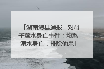湖南澧县通报一对母子落水身亡事件：均系溺水身亡，排除他杀