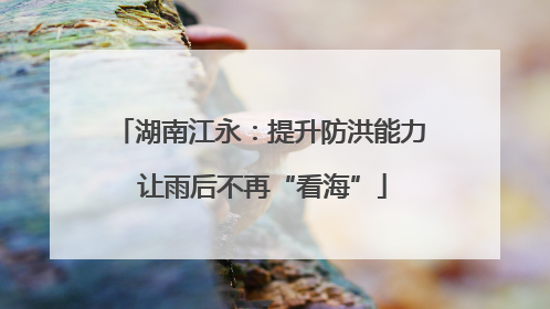 湖南江永：提升防洪能力 让雨后不再“看海”