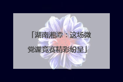 湖南湘潭：这场微党课竞赛精彩纷呈