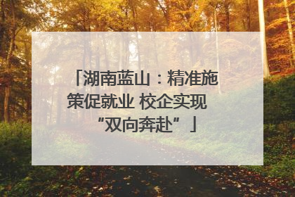 湖南蓝山：精准施策促就业 校企实现“双向奔赴”