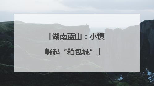 湖南蓝山：小镇崛起“箱包城”