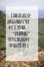 湖北省交通运输厅驻村工作队：“铁脚板”书写龙凤村幸福答卷