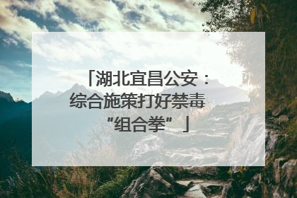 湖北宜昌公安：综合施策打好禁毒“组合拳”