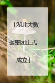 湖北大数据集团正式成立