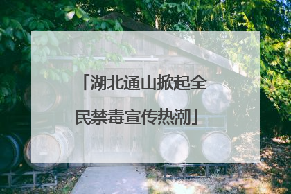 湖北通山掀起全民禁毒宣传热潮