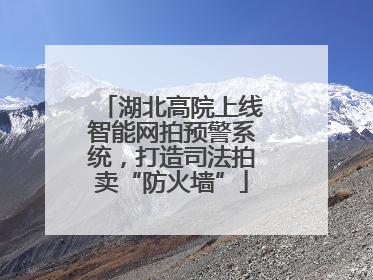 湖北高院上线智能网拍预警系统，打造司法拍卖“防火墙”