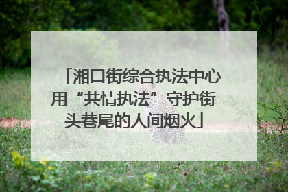湘口街综合执法中心用“共情执法”守护街头巷尾的人间烟火
