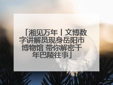 湘见万年丨文博数字讲解员现身岳阳市博物馆 带你解密千年巴陵往事