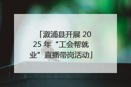 溆浦县开展 2025 年“工会帮就业”直播带岗活动