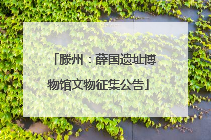 滕州：薛国遗址博物馆文物征集公告