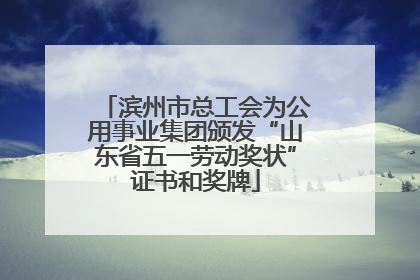 滨州市总工会为公用事业集团颁发“山东省五一劳动奖状”证书和奖牌