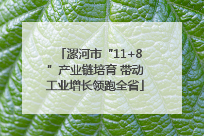 漯河市“11+8”产业链培育 带动工业增长领跑全省