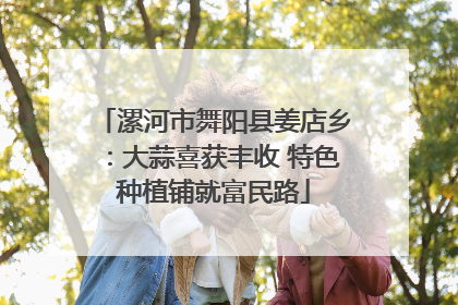 漯河市舞阳县姜店乡：大蒜喜获丰收 特色种植铺就富民路