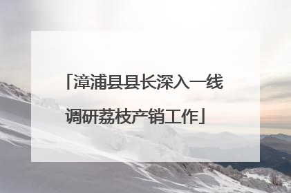 漳浦县县长深入一线调研荔枝产销工作
