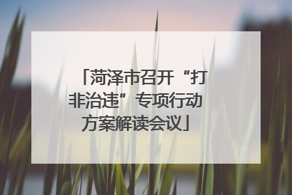 菏泽市召开“打非治违”专项行动方案解读会议
