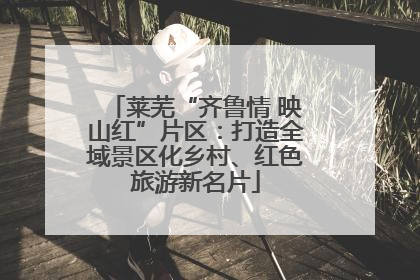 莱芜“齐鲁情 映山红”片区：打造全域景区化乡村、红色旅游新名片