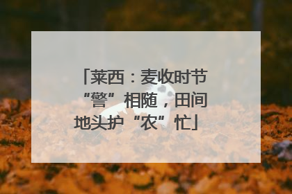 莱西：麦收时节“警”相随，田间地头护“农”忙