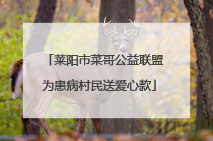 莱阳市菜哥公益联盟为患病村民送爱心款