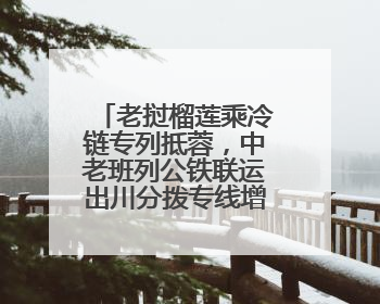 老挝榴莲乘冷链专列抵蓉，中老班列公铁联运出川分拨专线增至五条