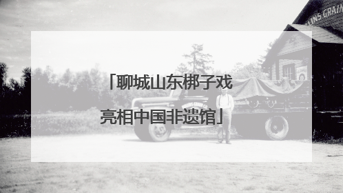 聊城山东梆子戏亮相中国非遗馆