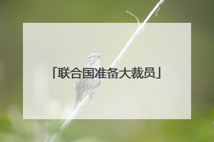 联合国准备大裁员