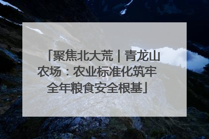 聚焦北大荒｜青龙山农场：农业标准化筑牢全年粮食安全根基