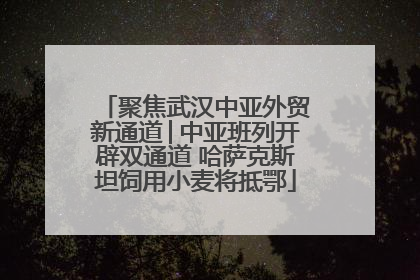 聚焦武汉中亚外贸新通道│中亚班列开辟双通道 哈萨克斯坦饲用小麦将抵鄂