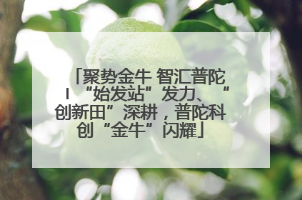 聚势金牛 智汇普陀〡“始发站”发力、“创新田”深耕，普陀科创“金牛”闪耀