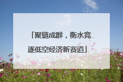 聚链成群，衡水竞逐低空经济新赛道