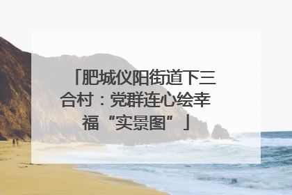 肥城仪阳街道下三合村：党群连心绘幸福“实景图”