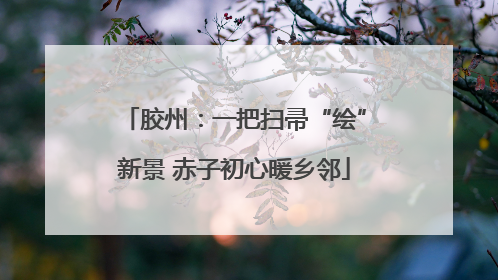 胶州：一把扫帚“绘”新景 赤子初心暖乡邻