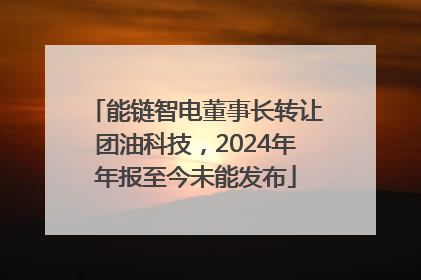 能链智电董事长转让团油科技，2024年年报至今未能发布