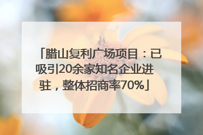 腊山复利广场项目：已吸引20余家知名企业进驻，整体招商率70%