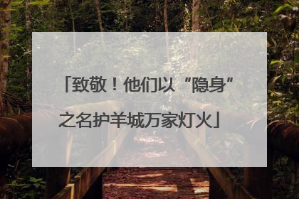 致敬！他们以“隐身”之名护羊城万家灯火