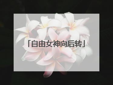 自由女神向后转
